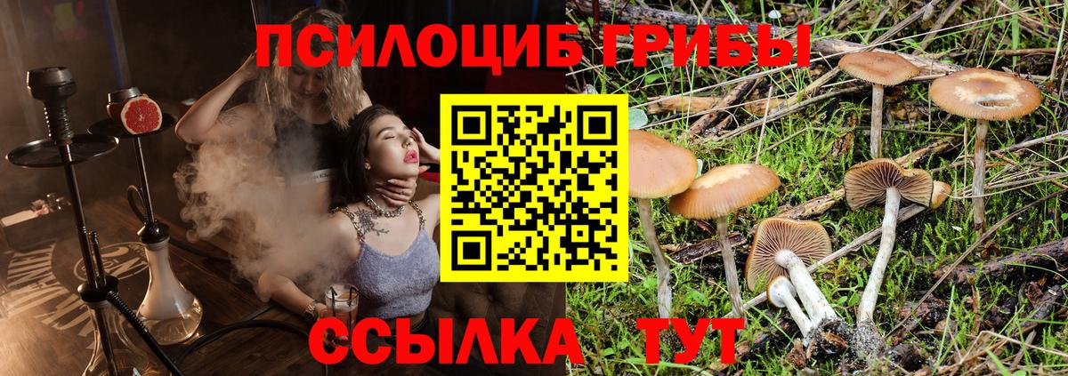 Псилоцибиновые грибы мухоморы Новодвинск