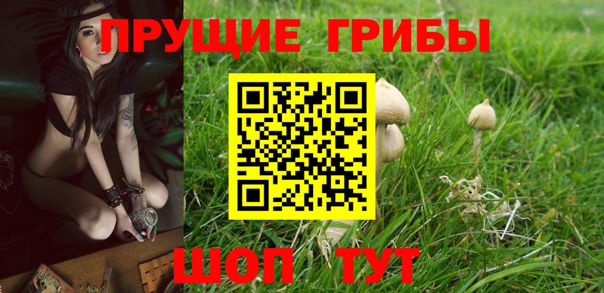 Псилоцибиновые грибы ЛСД  Вход с VPN  Галлюциногенные грибы ЛСД  Новодвинск 