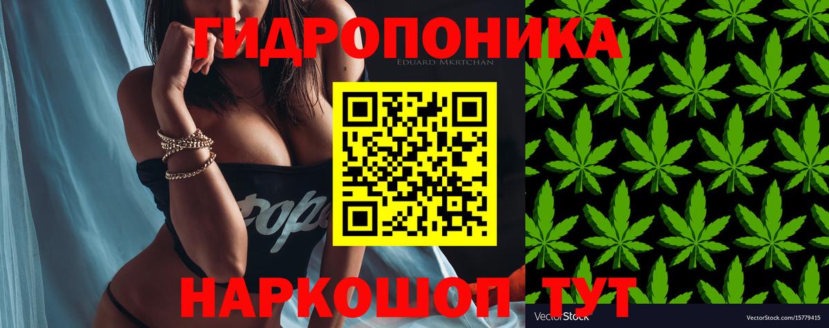 Новодвинск  Марихуана гибрид  Вход с VPN  Канабис план 